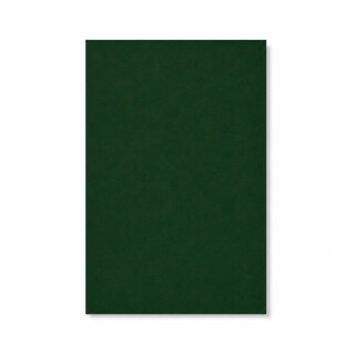 PERTECH-LOUSA-VERDE-OFICIAL-PP317-308X125-10MM-FOPCTX5014-01
