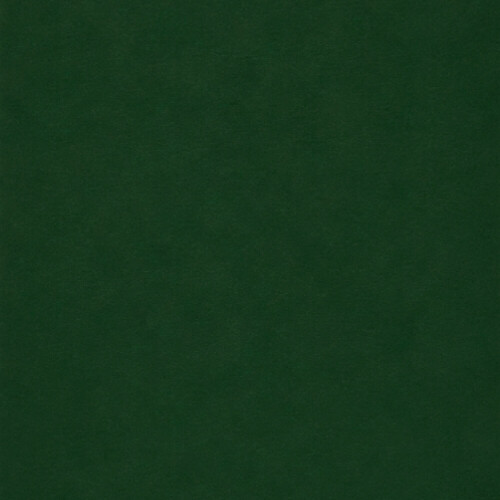 PERTECH-LOUSA-VERDE-OFICIAL-PP317-308X125-10MM-FOPCTX5014-02.jpg