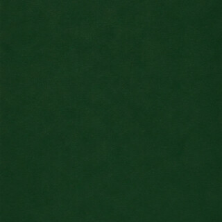 PERTECH-LOUSA-VERDE-OFICIAL-PP317-308X125-10MM-FOPCTX5014-02