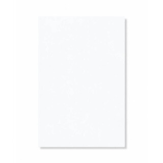 PERTECH-TEXT-BRANCO-ULTRA-PP100-L515-FOPCTX1112-01
