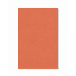 PERTECH-TEXT-BRICK-PP3731-L119-FOPCTX1170-01
