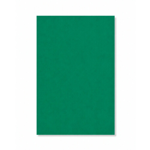 PERTECH-TEXT-VERDE-OFICIAL-PP317-L113-FOFOTX3057-01.jpg