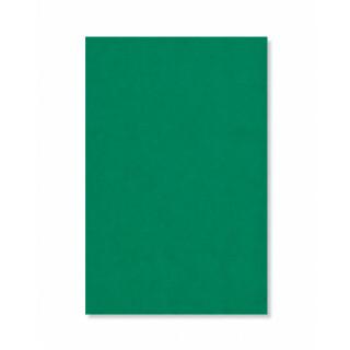 PERTECH-TEXT-VERDE-OFICIAL-PP317-L113-FOFOTX3057-01