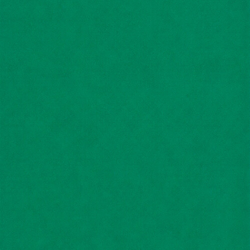 PERTECH-TEXT-VERDE-OFICIAL-PP317-L113-FOFOTX3057-02.jpg