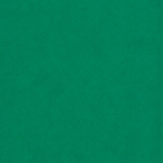 PERTECH-TEXT-VERDE-OFICIAL-PP317-L113-FOFOTX3057-02
