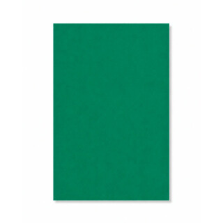 PERTECH-TEXT-VERDE-OFICIAL-PP317-L113-FOPCTX2006-01