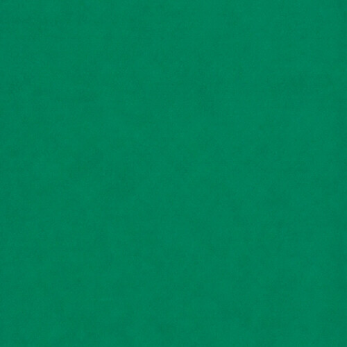 PERTECH-TEXT-VERDE-OFICIAL-PP317-L113-FOPCTX2006-02.jpg