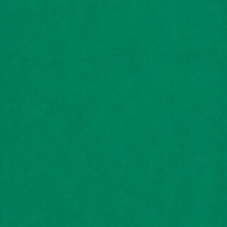 PERTECH-TEXT-VERDE-OFICIAL-PP317-L113-FOPCTX2006-02