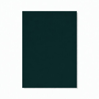 PERTECH-LOUSA-PRETO-PP15-308X125-10MM-FOPCTX5011-01