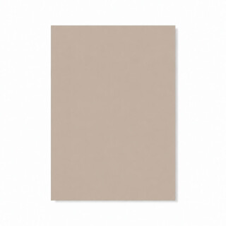 PERTECH-SUPER-MATTE-TAUPE-PP1979-L562-FOPCSM2003-01