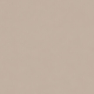 PERTECH-SUPER-MATTE-TAUPE-PP1979-L562-FOPCSM2003-02