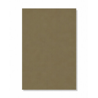 PERTECH-TEXT-BONSAI-PP2325-L560-FOPCTX3005-01
