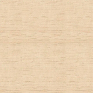 CPFDPCA011-02