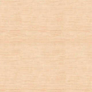 CPFDPCA026-02