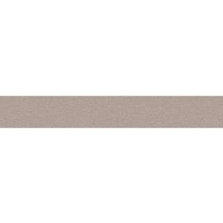 PROADEC-BORDA-PVC-METALLIC-SUEDE-22MMX50M-BERNECK-LAPDMA4856-02