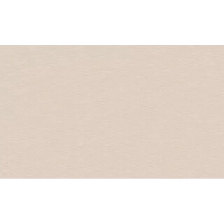 PROADEC-BORDA-PVC-NAZCA-100MMX50M-DURATEX-LAPDMA4798-02