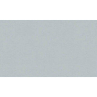 PROADEC-BORDA-PVC-PRATA-100MMX50M-DURATEX-LAPDMA4806-02