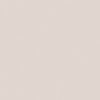 PERTECH-BRILH-MANGANES-PP55-FOPCBR1049-02