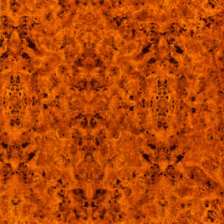 PERTECH-BRILH-RADICA-NATURAL-PP2111-FOPCBR1074-02