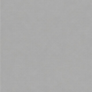 PERTECH-BRILH-SUPER-TITAN-PP3737-F272-FOPCBR1081-02