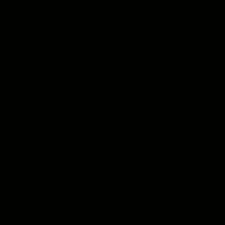 PERTECH-POST-FOR-TEXT-PRETO-PP15-L121-FOPCPT1107-02