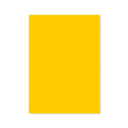 PERTECH-TEXT-OURO-PP229-L523-FOPCTX1081-01.jpg