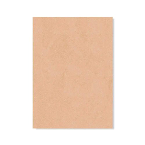 PERTECH-TEXT-TAUPE-PP1979-10MM-L562-FOPCTX1163-01.jpg