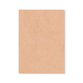 PERTECH-TEXT-TAUPE-PP1979-10MM-L562-FOPCTX1163-01