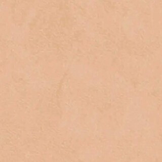 PERTECH-TEXT-TAUPE-PP1979-10MM-L562-FOPCTX1163-02