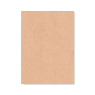 PERTECH-TEXT-TAUPE-PP1979-L562-FOPCTX1162-01