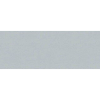 PROADEC-BORDA-PVC-PRATA-65MMX50M-DURATEX-LAPDMA5023-02