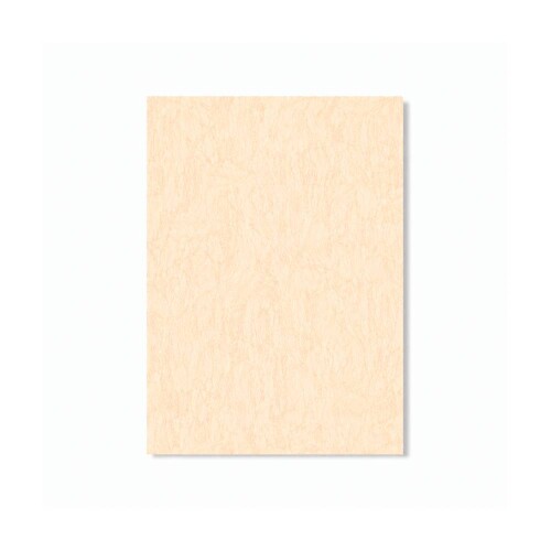 PERTECH-POST-FOR-TEXT-PAMPLONA-PP5850-FOPCPT1156-01.jpg