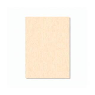 PERTECH-POST-FOR-TEXT-PAMPLONA-PP5850-FOPCPT1156-01
