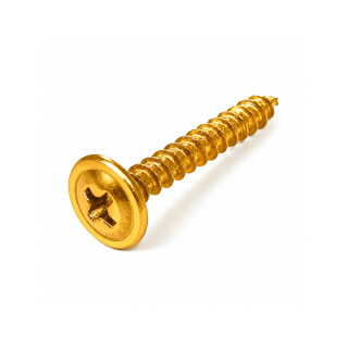 TN-PARAFUSO-CHIP-CAB-FLANG-PH2-45X25-BC-500PC-FRFGPAR058-01