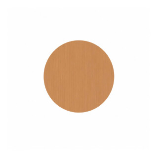 ADESIVO-12MM-METAL-CHAMPAGNE-CT-50-PCS-GUARARAP-LARHAD1136-02