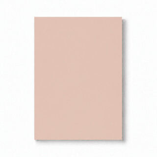 PERTECH-ULTIMATE-MATTE-ATACAMA-PP3727-FOPCUM2001-01