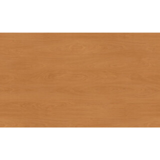 PROADEC-BORDA-PVC-ATLANTICA-100MMX50M-ARAUCO-LAPDMA5069-02