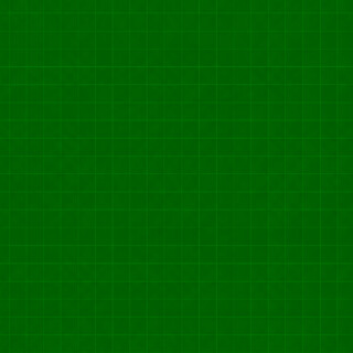 FOFOTX3011-02