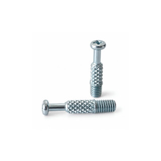 PARAF-DU644-M6X31MM-P_-RASTEX-SASFIX-SAS-100PCS-FRKSACE090-01