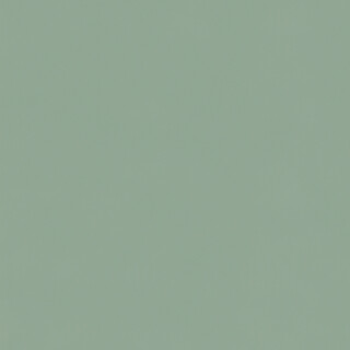 FOFOTX4004-02