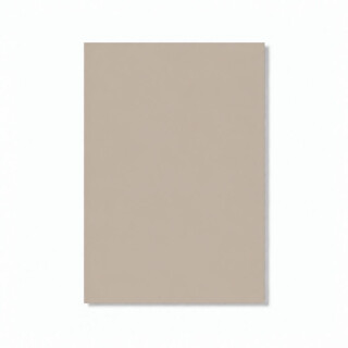 PERTECH-TOP-MATTE-TAUPE-PP1979-L562-FOPCTP2003-01