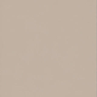 PERTECH-TOP-MATTE-TAUPE-PP1979-L562-FOPCTP2003-02