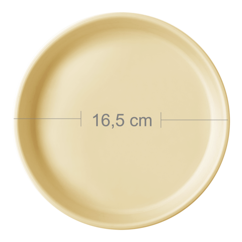 Basics-Plate-MY.png