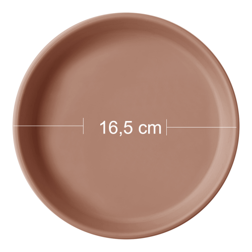 Basics-Plate-WB.png