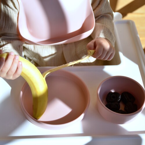 Basics-Plate-Pinky-Pink-1.jpg